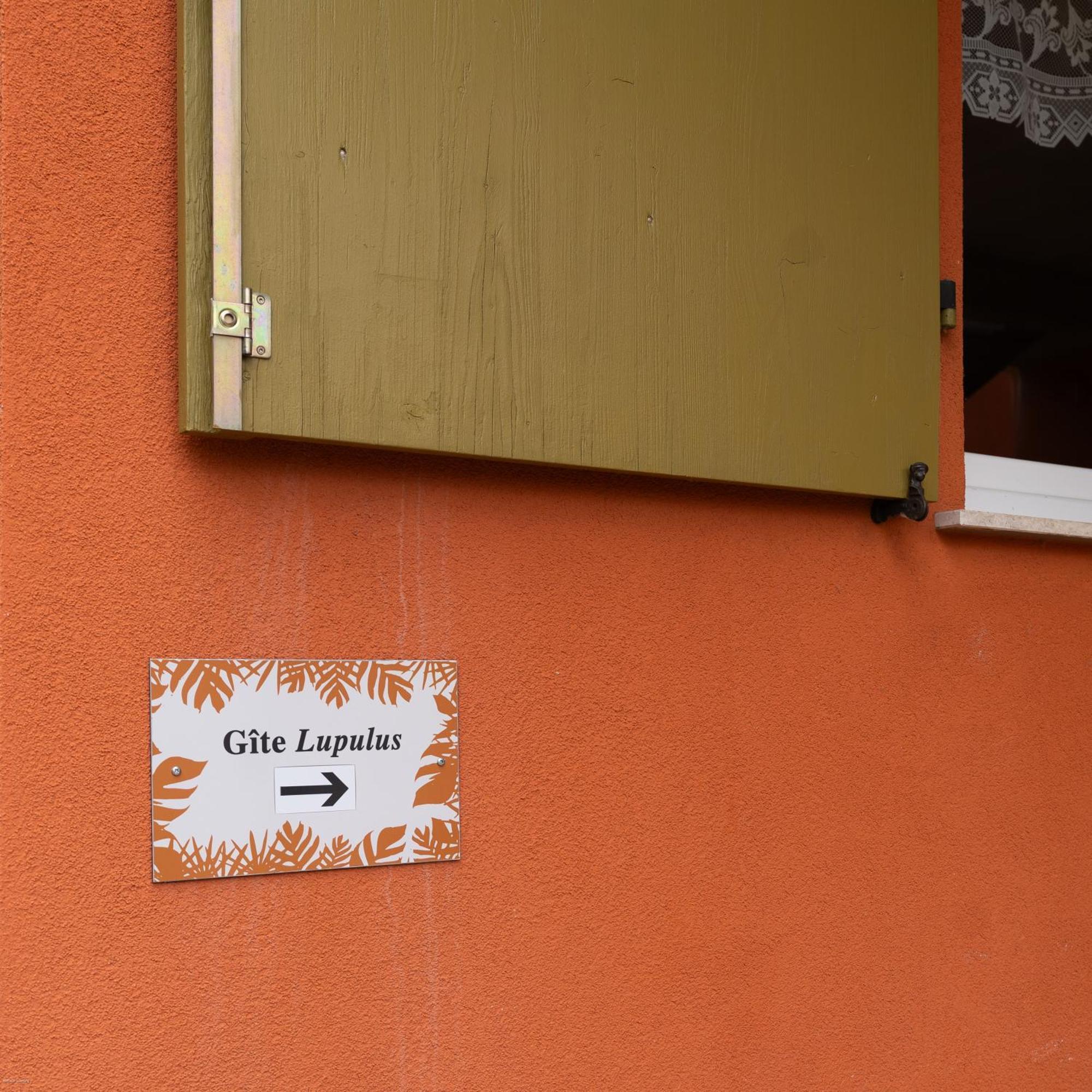 Appartement ' Le Lupulus' Bilwisheim Exterior foto