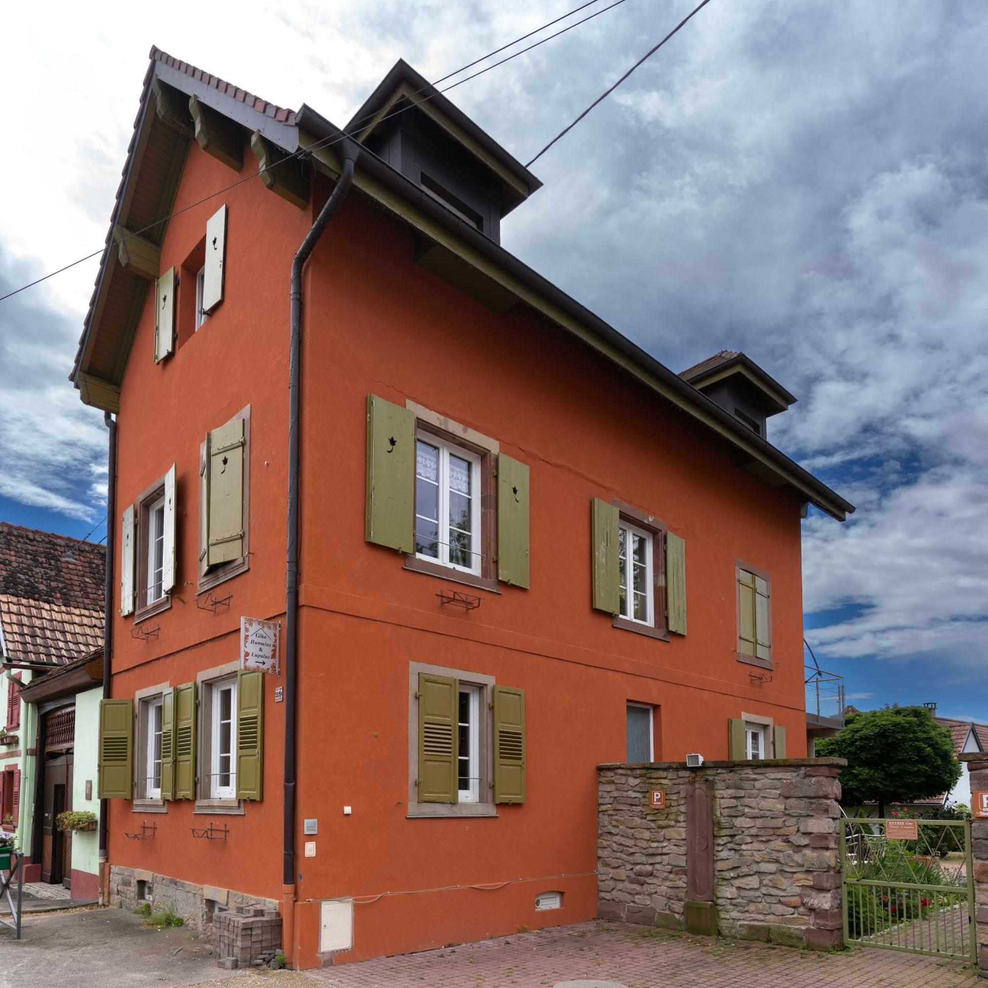 Appartement ' Le Lupulus' Bilwisheim Exterior foto